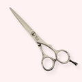 Eclipse 5.5" Shear
