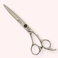 Zeta 6.0" Wet/Dry Shear
