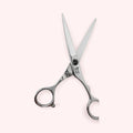 Eclipse 5.5 Japanese handmade hair shear – close up open front