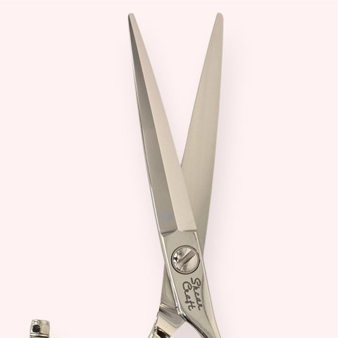 Orbit 6.0" Swivel Wet/Dry Shear