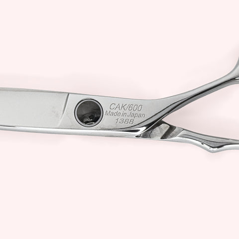 Titan 6.0 Japanese handmade hair shear – close-up of back engraving and handles
